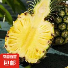 云南黑钻凤梨 1个装 单果1.3斤起3.9元