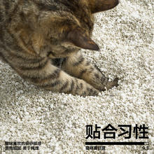 pidan 混合猫砂 木薯膨润土40%:60% 2.4kg 结团遮臭强吸水皮蛋猫砂券后5.51元