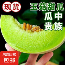 新鲜头茬香甜冰激淋玉菇甜瓜当季新鲜水果 美味可口2-3斤装（1-2粒）5元（需领券）