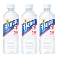 东鹏 电解质饮料 荔枝味 555ml*3瓶4.5元
