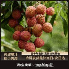 6.33元/斤！某宝买菜 广东高州老树桂味荔枝 4.5斤礼盒装 单果16g+￥28.51 3.9折 比上一次爆料降低 ￥0.23