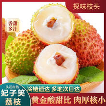 京地达 海南妃子笑荔枝净重4.5斤单果18g+时令水果源头直发39.4元（需买2件，需用券）