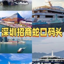 美团【平日票】深圳大湾区+3小时往返港珠澳大桥+深圳邮轮原价344元现价176元