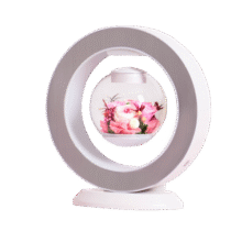 SWEETIE.甜蜜点 磁悬浮永生花生日礼物实用中高考毕业礼物实用送老师高级小众279元 (月销4000+)