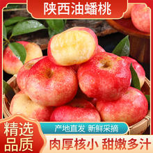 康田汇 当季现摘 精选18-24个单果40-60g 源头直发券后6.9元