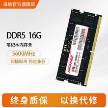 枭鲸 笔记本电脑内存条ddr5 16GB 5600MHz 兼容4800166.52元