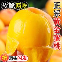蒲恋 桃 5斤精选装丨泡沫托丨净重4.5斤券后15.8元