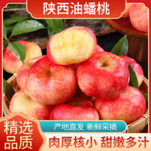 康田汇 陕西油蟠桃新鲜脆桃子扁蟠桃水密脆甜桃子当季现摘 精选9-12个单果30-60g精选装 源头直发6.9元（需领券）
