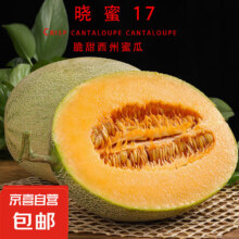 正宗山东哈密瓜晓蜜17新鲜现摘当季水果甜瓜 3-3.5斤5.29元