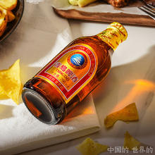 青岛啤酒 TSINGTAO 金质小棕金 低温酿造 296ml*24瓶72.8元