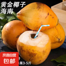 海南黄金椰子新鲜水果带皮椰青孕妇水果红椰金椰一整箱 黄金椰4个装14.29元（需领券）