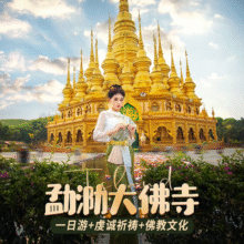 美团 西双版纳勐泐大佛寺一日游【单程直通车+看孔雀放飞+打卡金身大佛+超高性价比】原价148元，现价108元