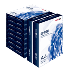 得力（deli）白令海A4打印纸 70g500张*10包一箱 双面高性价比复印纸 整箱5000张 7755【经济热销】142.9元 (月销1w+)