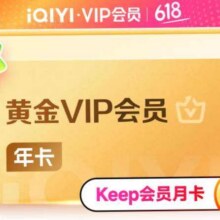 爱奇艺VIP会员黄金会员12个月 支持三端113元（需领券）