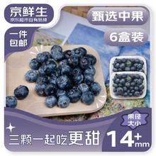 限移动端、京东百亿补贴：京鲜生 国产蓝莓 6盒 14mm+装 125g/盒券后43.9元