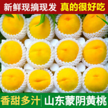 粤迎正宗山东蒙阴黄桃黄毛桃现摘桃子当季新鲜水果现摘现发水果生鲜 5斤精选装【果农手挑】净4.5斤17.5元（需领券）