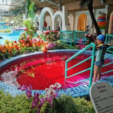 蓝顶温泉-【儿童票】门票40元