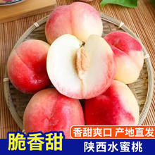 琪江果 陕西突围水蜜桃 净重5斤 17-22个券后14.08元