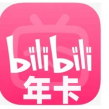哔哩哔哩 大会员年卡 12个月