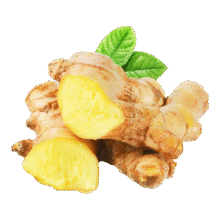 产地直发云南小黄姜新鲜生姜黄姜调味料新鲜蔬菜生鲜 1斤 装2.27元（需领券）