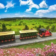 美团 重庆仙女山国家森林公园-【成人票】门票原价60元，现价50元
