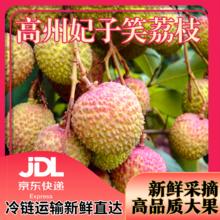 荔晓味 茂名高州妃子笑荔枝5斤装单果18g+新鲜荔枝 净重4.5斤 单果18g+23.9元