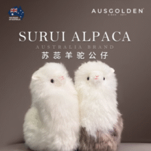 100%澳洲羊毛皮！AUSGOLDENMIX 100%澳洲进口羊毛 羊驼公仔 高36cm￥69.50 比上一次爆料上涨 ￥0.5