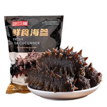 颐口福 大连鲜活即食海参单冻刺参约8-10cm/只99元