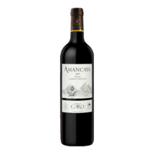 拉菲（LAFITE）罗斯柴尔德凯洛副牌 安第斯干红葡萄酒  750ml单瓶装154.34元