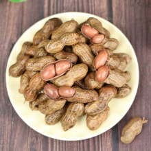 卤汁 水煮花生 五香味 500g4.9元