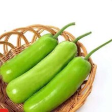 农家新鲜现摘瓠子瓜 蒲瓜胡瓜 新鲜蔬菜生鲜夜开花 瓠瓜 4斤 带箱5元（需领券）