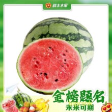美团【顶呱呱】甜王麒麟瓜约4斤-05980-1原价11.9元，现价4.99元