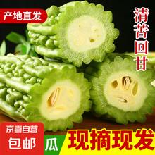 京喜 山东新鲜苦瓜 2斤 带箱
