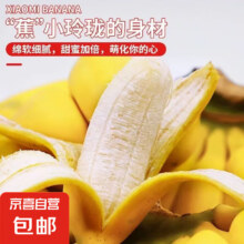 鲜摘小米蕉香蕉新鲜水果多喜啦水果迷你香蕉青皮米蕉粉蕉孕妇水果 净重3斤2元（需领券）