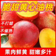 华北强 头茬黄心油桃 5斤家庭装【净4.5斤】单果50-60g14.9元（需领券）