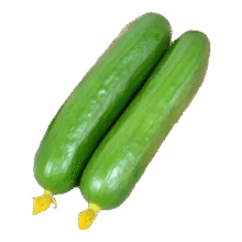 水果小黄瓜 荷兰黄瓜新鲜蔬菜  4斤 净重4.99元（需领券）
