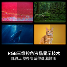 海信电视机UX 116英寸 RGB-Mini LED 信芯H7 黑曜屏Pro 以旧换新97999元（需领券）