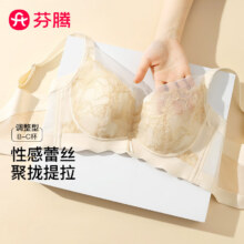 百亿补贴：芬腾无钢圈文胸女聚拢调整型性感蕾丝提拉防下垂防外扩内衣文胸罩285元（合57元/件）