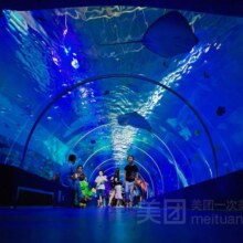 美团  重庆汉海海洋公园-【双人票】门票（提前2小时购）原价300元，现价238元