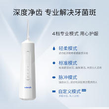 洁碧 GSX 冲牙器水155.25元