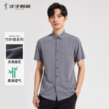 才子（TRIES）【透气竹纤维】短袖衬衫夏季新款男士正装职业衬衣横条提花男 灰色 40 (175/92A)多号可选59.2元（需领券）
