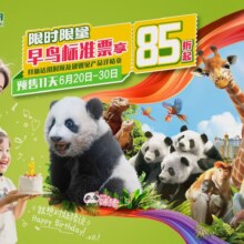 美团 广州长隆野生动物世界早鸟标准票(期票）原价350元，现295元