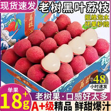 翠鲜令 广东桂味荔枝 新鲜荔枝 爆汁爆甜 源头直发冷链 黑叶荔枝净重4.5斤 荔枝券后19.9元