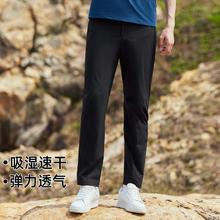 拓路者 男士户外速干直筒裤 夏季运动休闲长裤101元