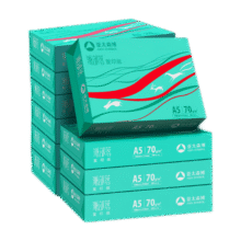 亚太森博A5打印纸 70g 500张*10包 双面复印纸75.61元