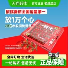 一颗大 玲珑串收樱桃番茄酸甜水果新鲜采摘 1kg券后18.8元