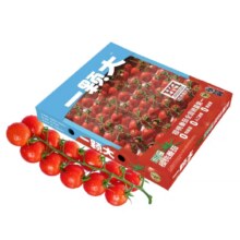 再降价、88VIP：一颗大 串收樱桃番茄甄选礼盒 1kg*1盒12.53元包邮+539淘金币（需领券）