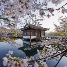 再降价【苏杭4日自由行】精华景点+3晚住宿+景区门票759元