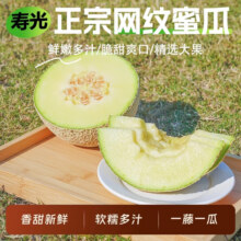 绿食语山东网纹瓜爆甜多汁冰淇淋口感正宗网纹蜜瓜脆爽当季头茬新鲜水果 4-5斤（2-3个）14.9元（需领券）