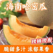 山东哈密瓜 9斤带箱(净重8.5斤)3-5个 精选装18.9元